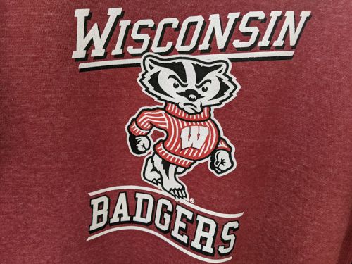 UW Badgers